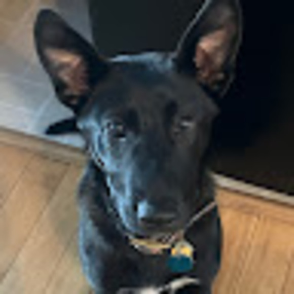 Meet your Posher, Ruthie - Picture 1 of 1